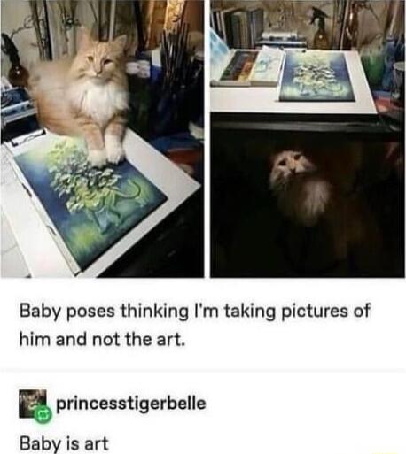 Baby poses thinking Im taking pictures of him and not the art F princesstigerbelle Baby is art