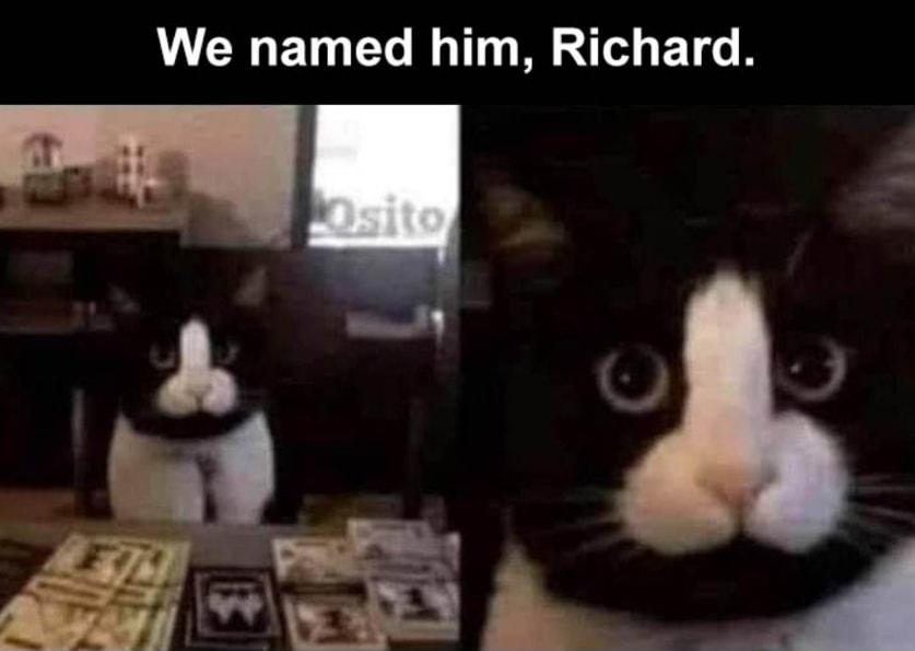 We named him Richard