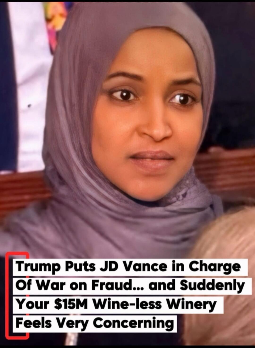 Trump Puts JD Vance in Charge Of War on Fraud... and Suddenly Your $15M Wine-less Winery Feels Very Concerning