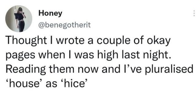 p Honey benegotherit Thought wrote a couple of okay pages when was high last night Reading them now and Ive pluralised house as hice