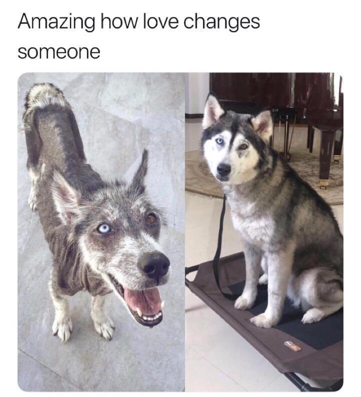 Amazing how love changes someone
