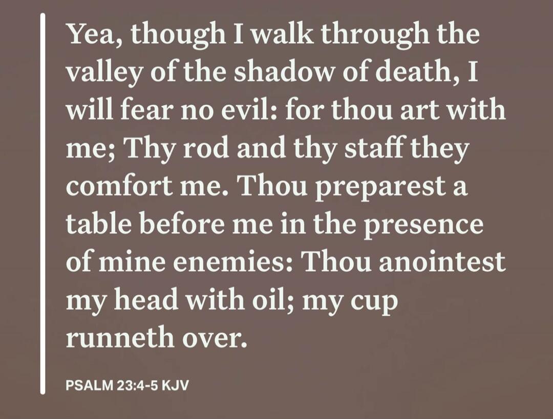 Yea, though I walk through the valley of the shadow of death, I will fear no evil: for thou art with me; Thy rod and thy staff they comfort me. Thou preparest a table before me in the presence of mine enemies: Thou anointest my head with oil; my cup runneth over. PSALM 23:4-5 KJV