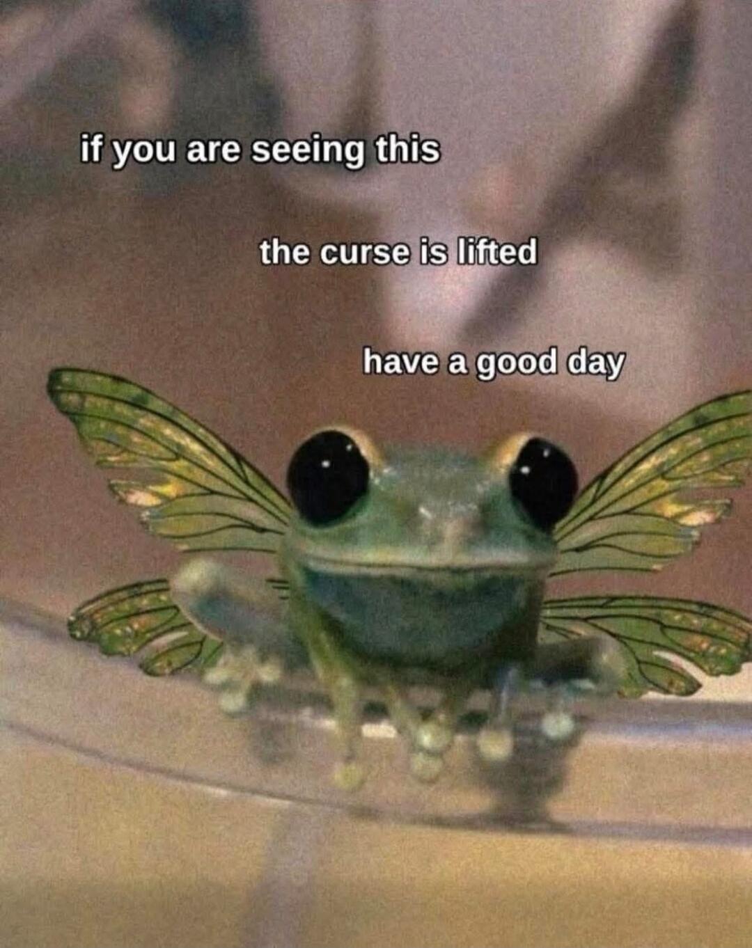 if you are seeing this the curse is lifted have a good day