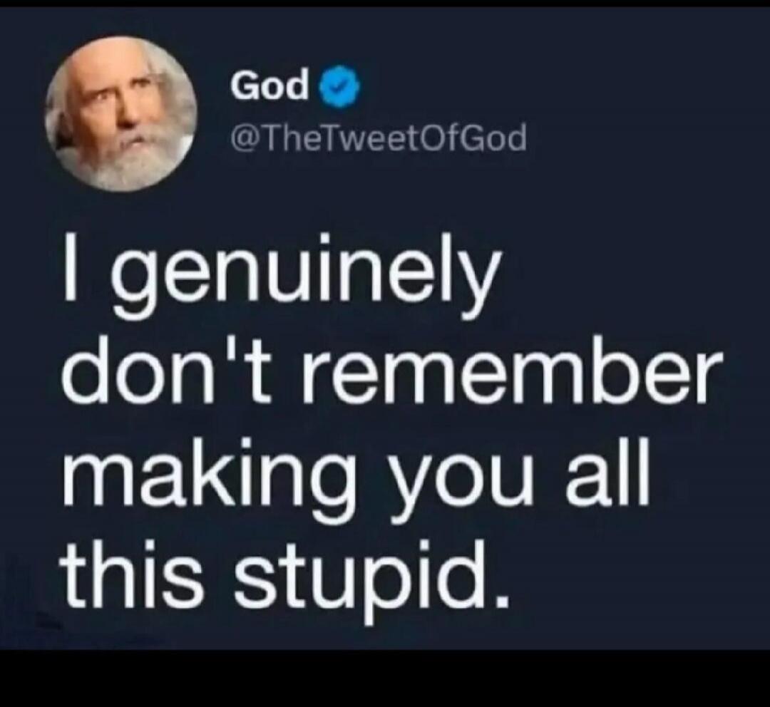 God @TheTweetOfGod I genuinely don't remember making you all this stupid.
