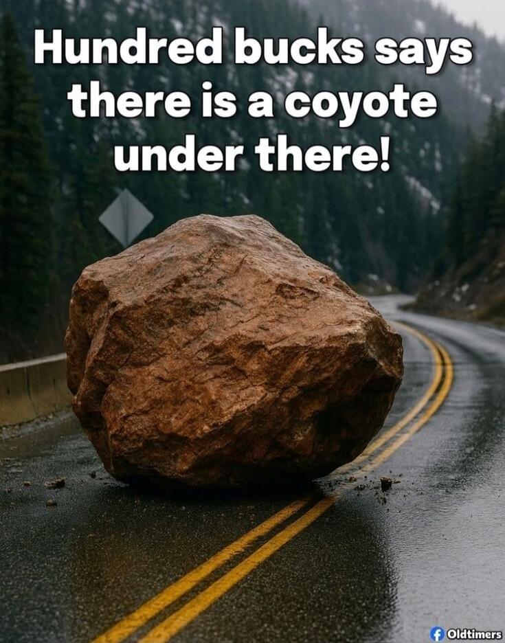 Hundred bucks says there is a coyote under there!
