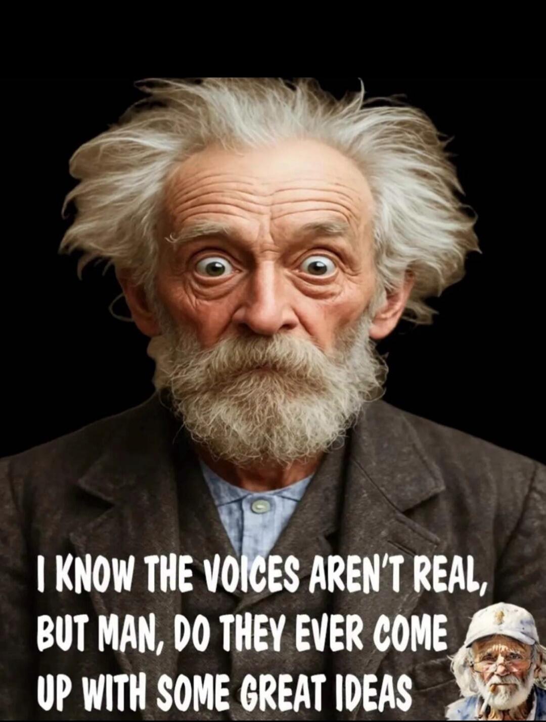 I KNOW THE VOICES AREN'T REAL, BUT MAN, DO THEY EVER COME UP WITH SOME GREAT IDEAS
