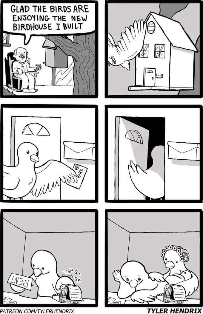 GLAD THE BIRDS ARE ENSOYING THE NEW BIRDHOUSE I BUILT PATREONCOMTYLERHENDRIX TYLER HENDRIX