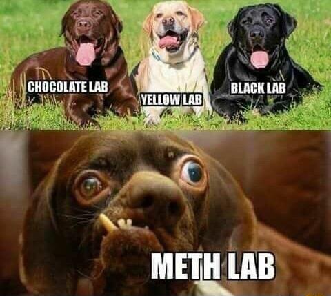 METH LAB