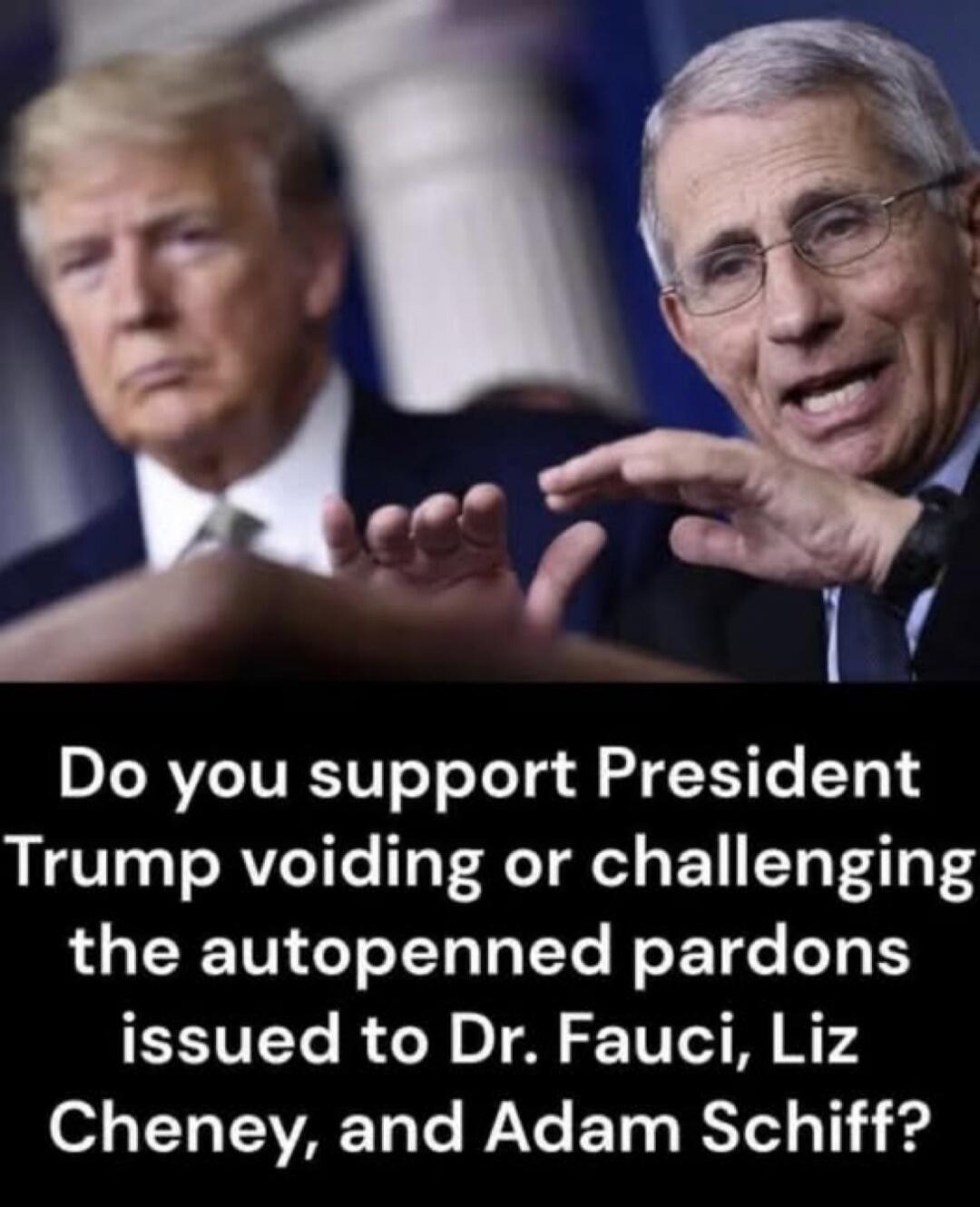 Do you support President Trump voiding or challenging the autopenned pardons issued to Dr. Fauci, Liz Cheney, and Adam Schiff?