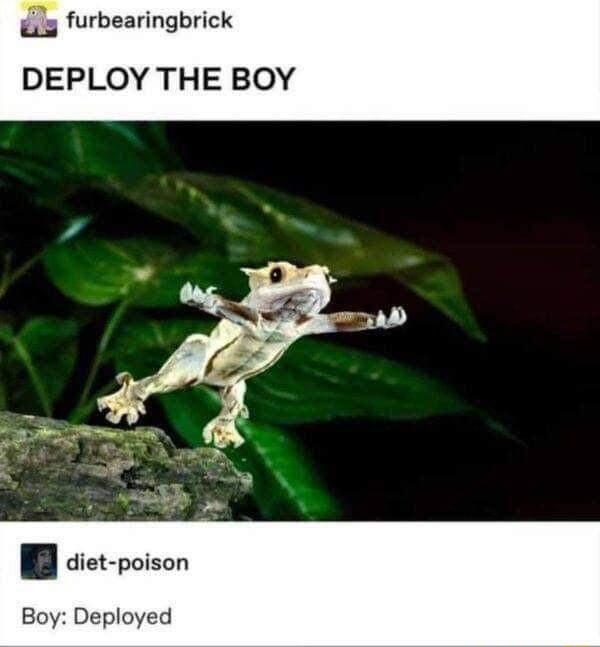 g furbearingbrick DEPLOY THE BOY B diet poison Boy Deployed