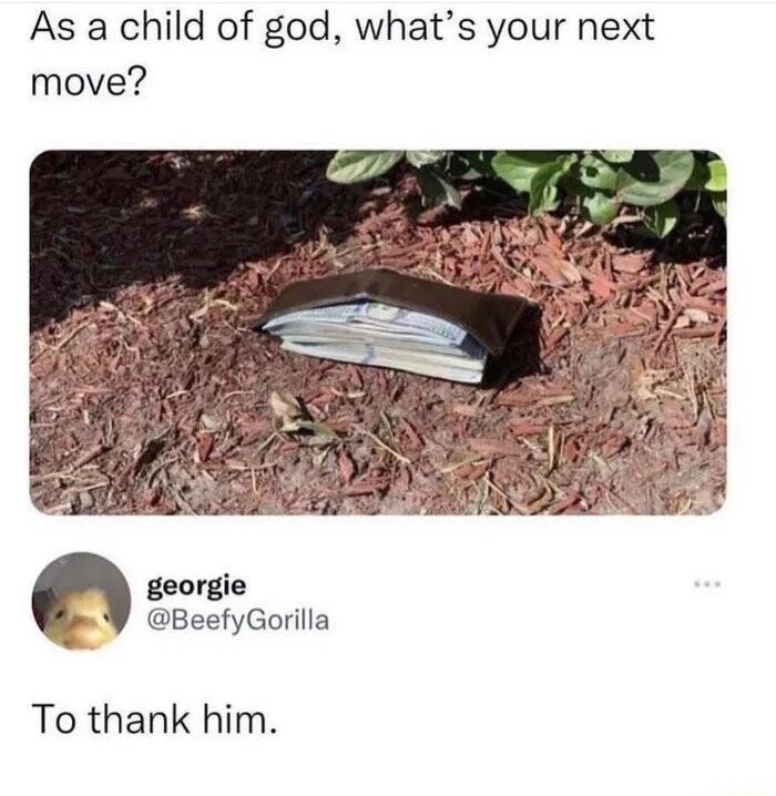 As a child of god whats your next move georgie BeefyGorilla To thank him
