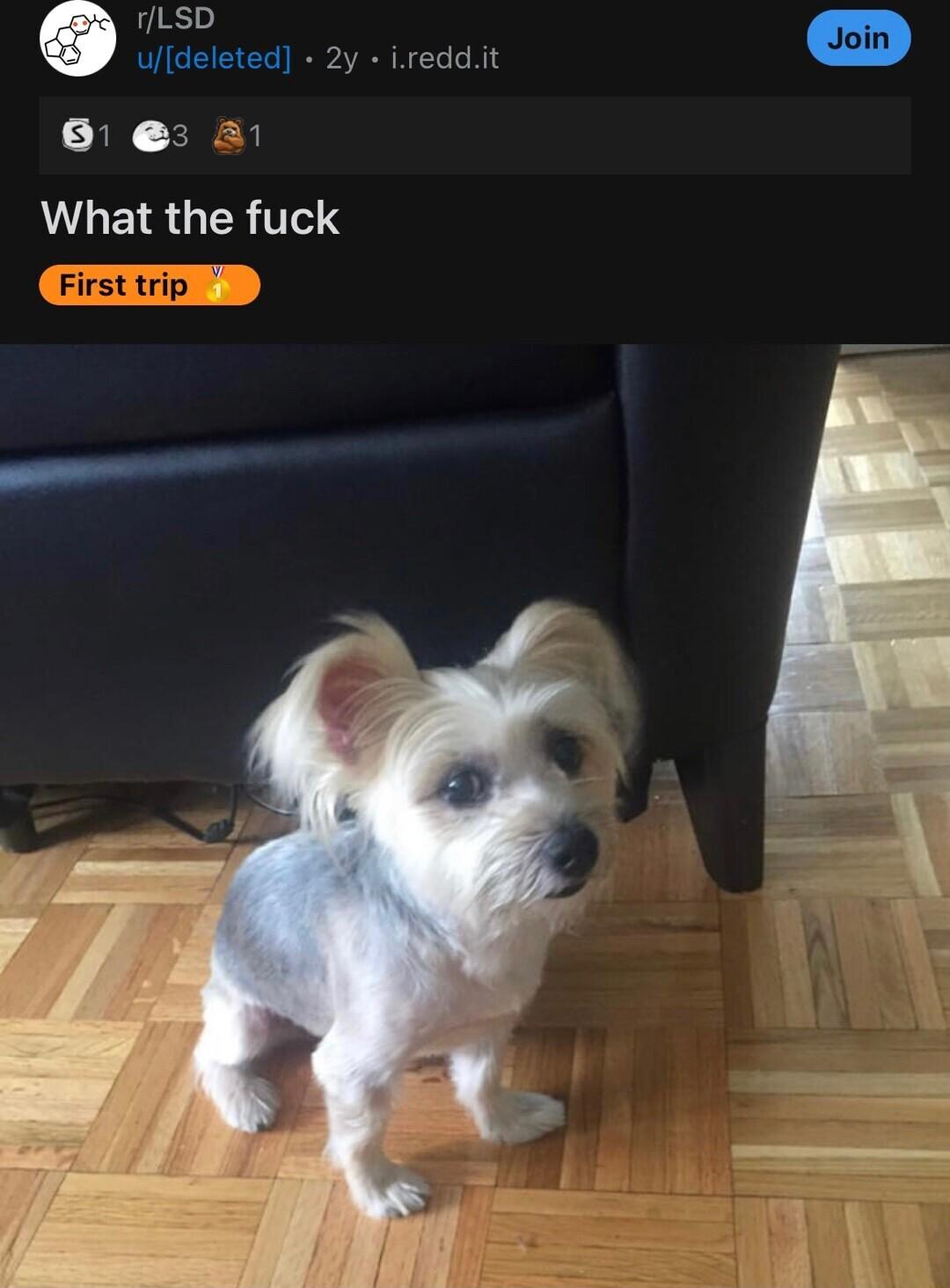 Uide o udeleted 2y ireddit 6 L EIRGER TS