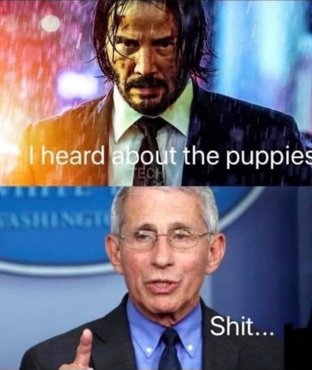I heard about the puppies
Shit...