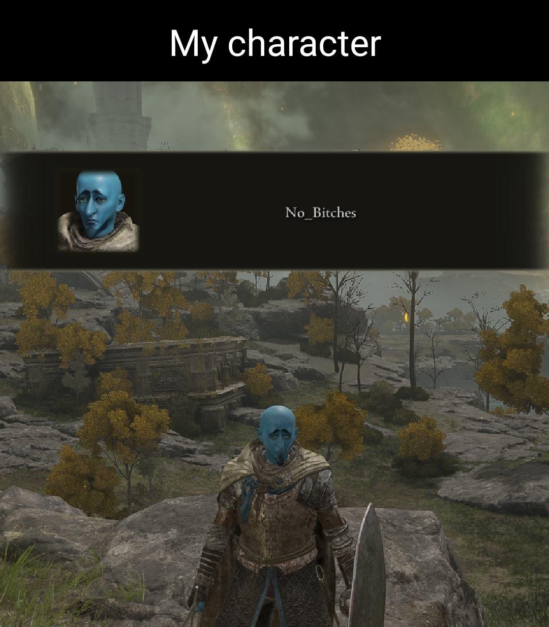 My character No_Bitches