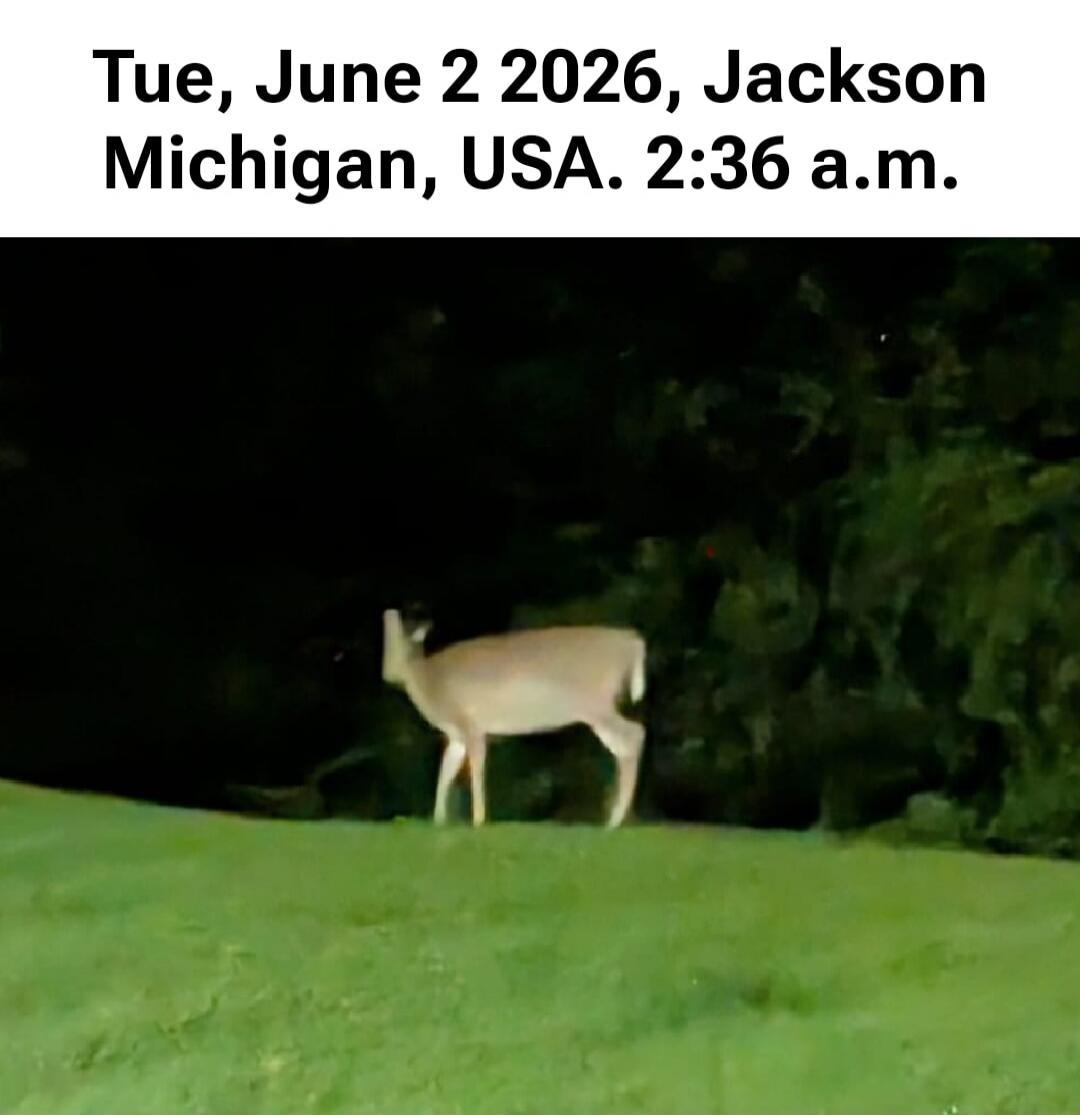 Tue, June 2 2026, Jackson Michigan, USA. 2:36 a.m.