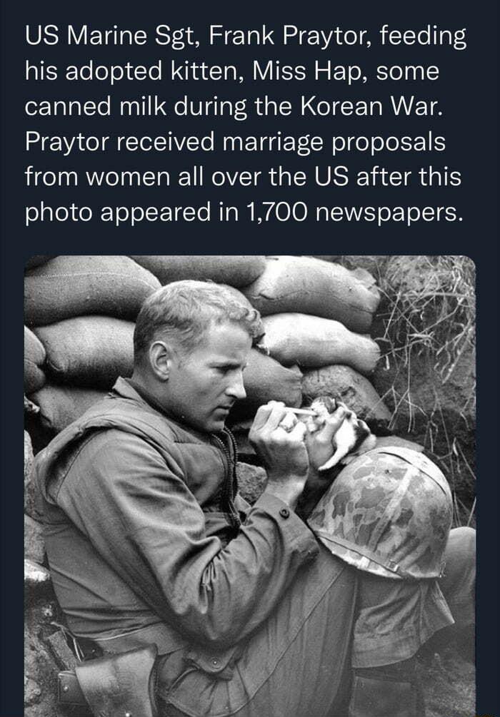 US Marine Sgt Frank Praytor feeding his adopted kitten Miss Hap some ozTaTalTe Mny1 Qe V glaF R s NI CETARWETA Praytor received marriage proposals from women all over the US after this oaleo e lrYoTolSE TaTe Wi W WA OO A o T oLSTEH