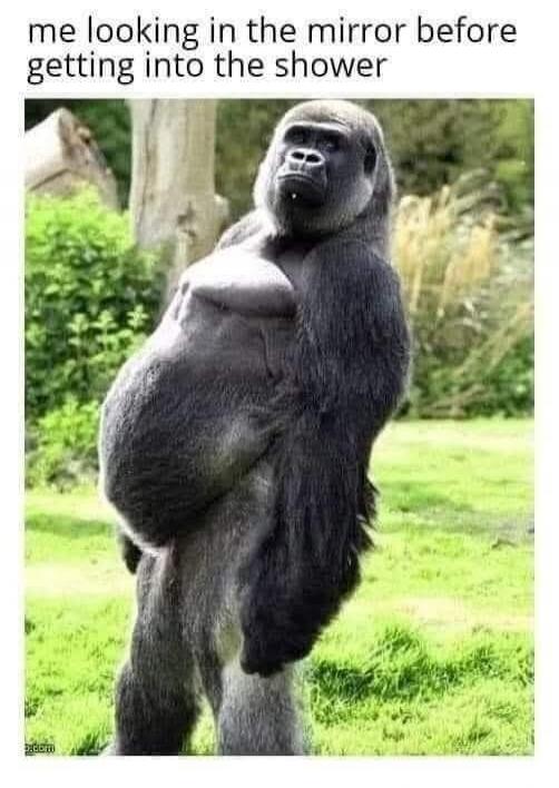 me looking in the mirror before getting into the shower