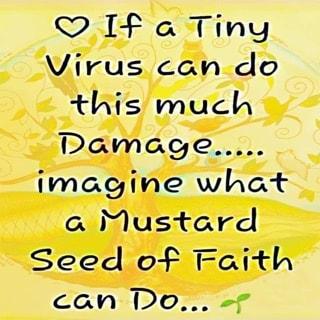 QO I a Tiny Virus can do this much imagine what a Mustard Seed of Faith can DO