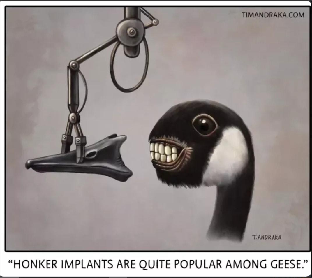 TIMANDRAKACOM TaRORIA HONKER IMPLANTS ARE QUITE POPULAR AMONG GEESE