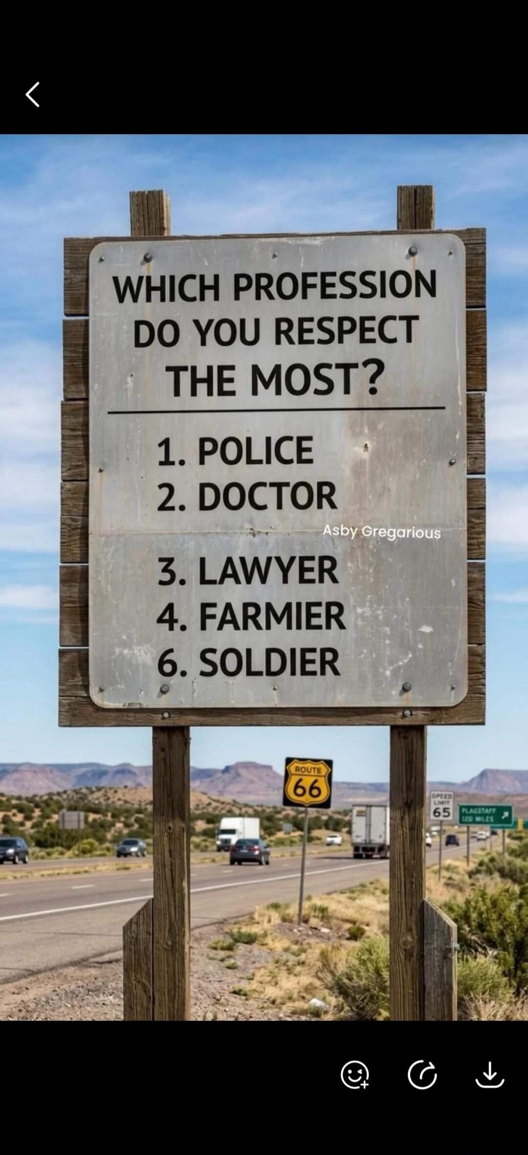WHICH PROFESSION DO YOU RESPECT THE MOST? 1. POLICE 2. DOCTOR 3. LAWYER 4. FARMIER 6. SOLDIER Asby Gregarious