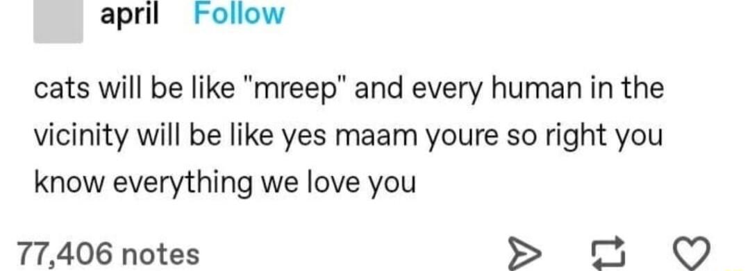 april Follow cats will be like mreep and every human in the vicinity will be like yes maam youre so right you know everything we love you 77406 notes 5 O