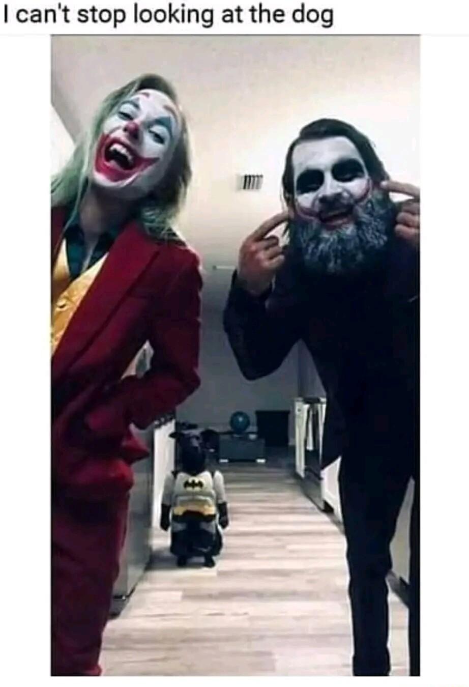 cant stop looking at the dog