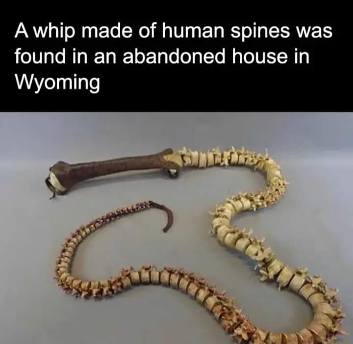 A whip made of human spines was found in an abandoned house in AWYelnllale