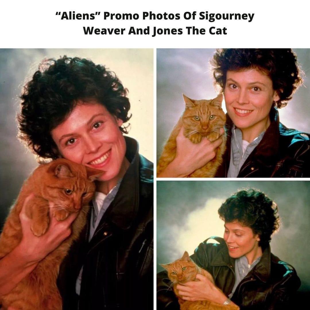 Aliens Promo Photos Of Sigourney Weaver And Jones The Cat