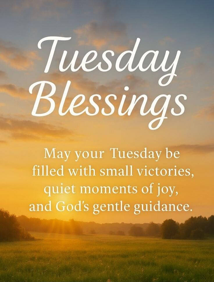 Tuesday Blessings
May your Tuesday be filled with small victories, quiet moments of joy, and God's gentle guidance.