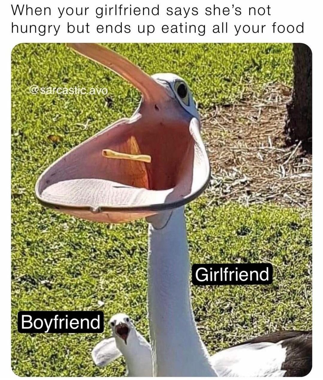 When your girlfriend says shes not hungry but ends up eating all your food Boyfrig