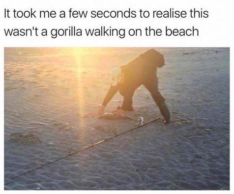 It took me a few seconds to realise this wasnt a gorilla walking on the beach