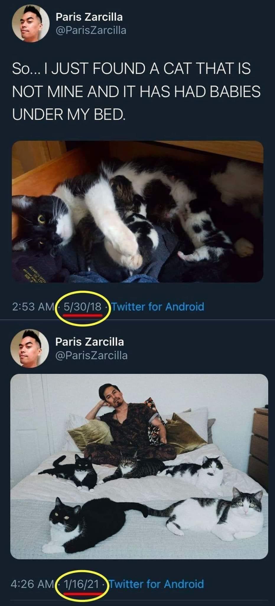 Paris Zarcilla MY rariszarcilla So JUST FOUND A CAT THAT IS N INWNN DR R N TSR g VAYBREVA1 UNDER MY BED 253 AMTwmer for Android L Paris Zarcilla P ParisZarcilla 426 AMTWIter for Android