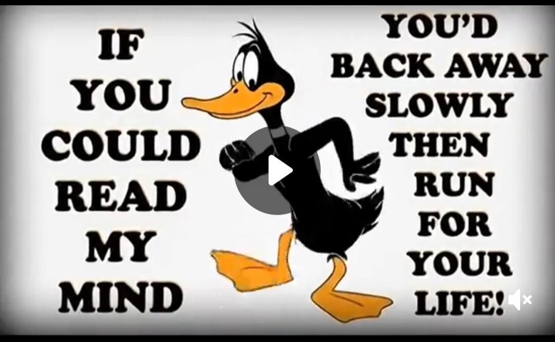 IF YOU COULD READ MY MIND YOU'D BACK AWAY SLOWLY THEN RUN FOR YOUR LIFE!