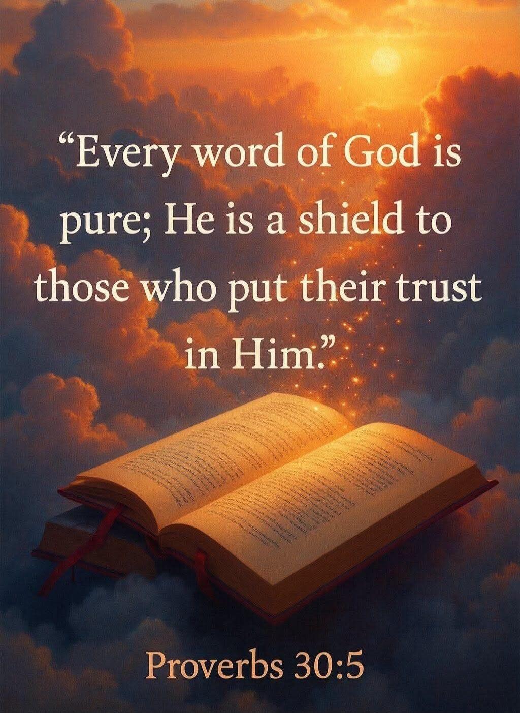 Every word of God is pure; He is a shield to those who put their trust in Him. Proverbs 30:5