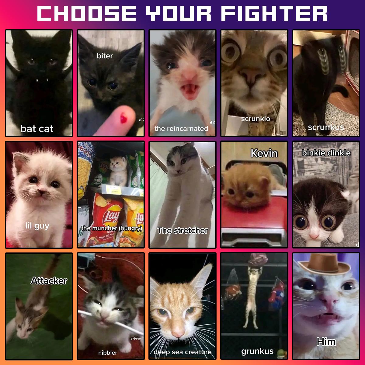 CHOOSE YOUR FIGHTER