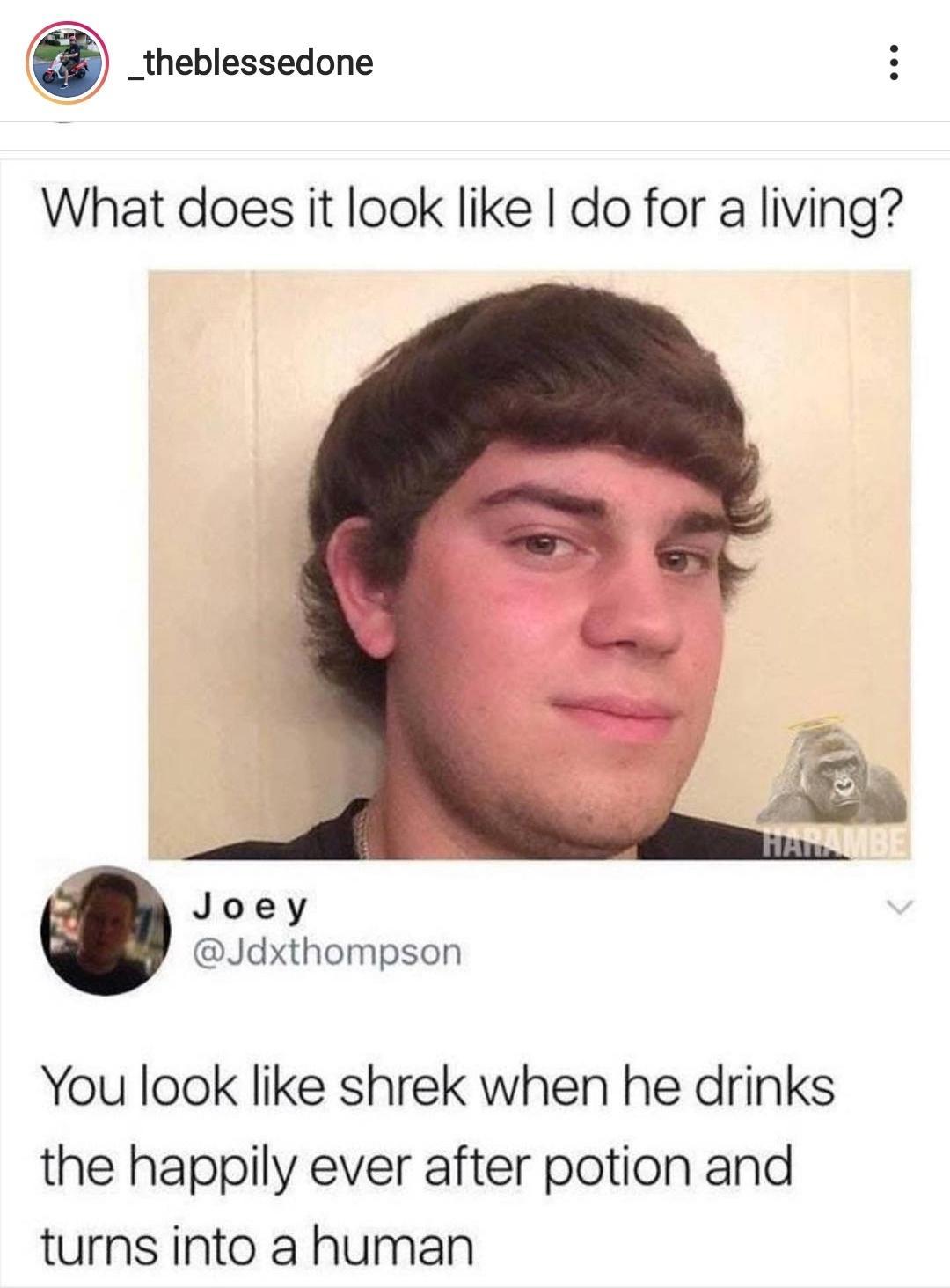 _theblessedone What does it look like do for a living Joey Jdxthompson You look like shrek when he drinks the happily ever after potion and turns into a human