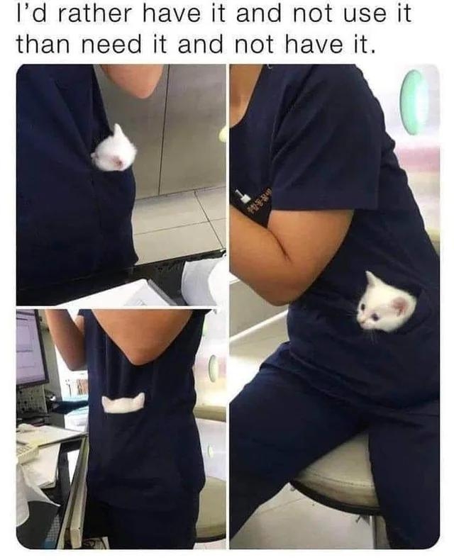 Id rather have it and not use it than need it and not have it Posted in rCatswithjobs reddit