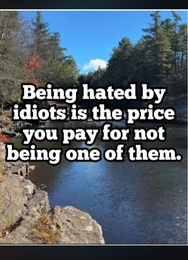 Being hated by idiots is the price you pay for not being one of them.