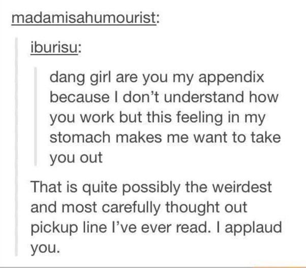 madamisahumourist iburisu dang girl are you my appendix because dont understand how you work but this feeling in my stomach makes me want to take you out That is quite possibly the weirdest and most carefully thought out pickup line Ive ever read applaud you