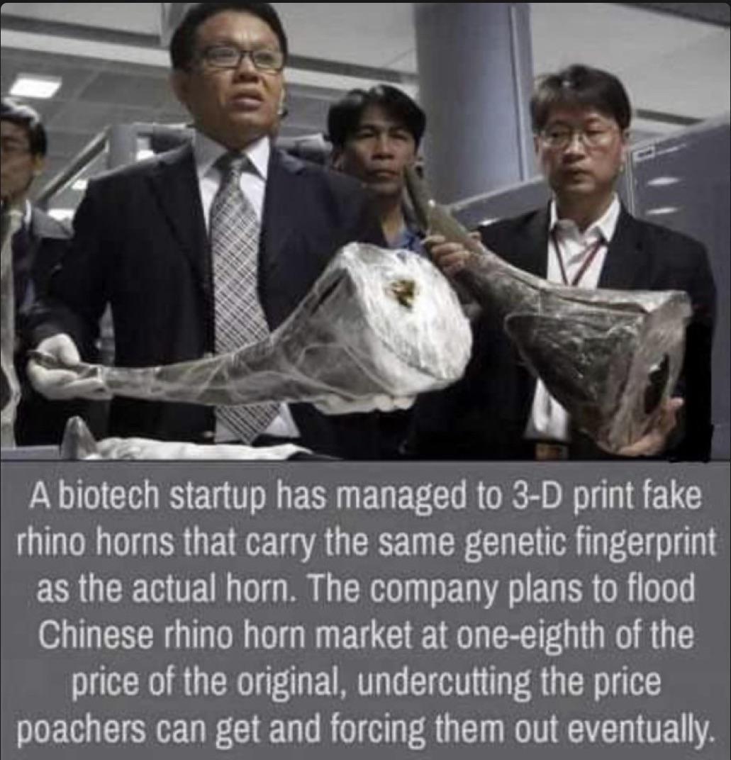 A biotech startup has managed to 3 D print fake rhino horns that carry the same genetic fingerprint as the actual horn The company plans to flood Chinese rhino horn market at one eighth of the price of the original undercutting the price poachers can get and forcing them out eventually