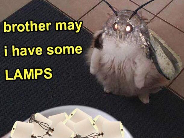 brother may i have some W 45