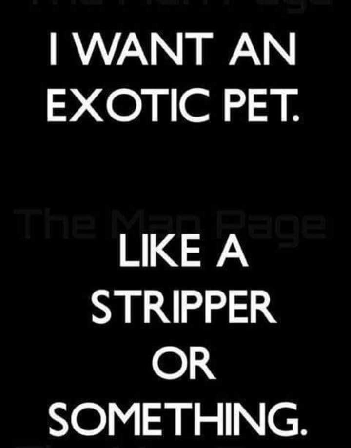 WANT AN EXOTIC PET LIKE A STRIPPER OR SOMETHING