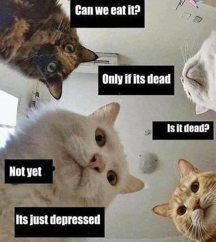 O e R e AT