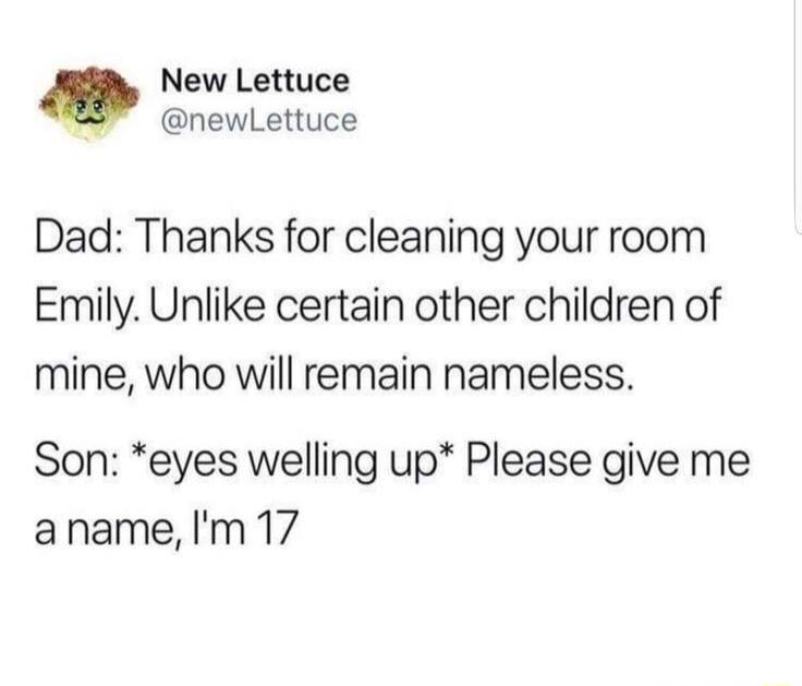Dad: Thanks for cleaning your room Emily. Unlike certain other children of mine, who will remain nameless. Son: *eyes welling up* Please give me a name, I'm 17