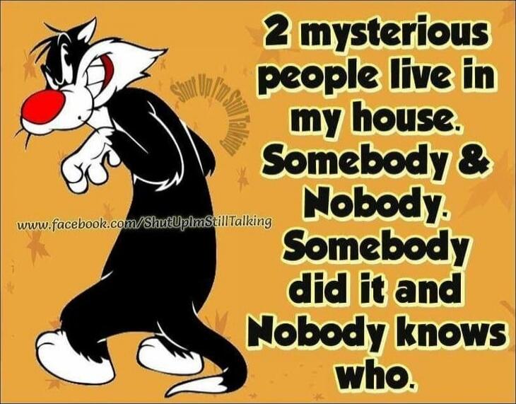 2 mysterious people live in my house. Somebody & Nobody. Somebody did it and Nobody knows who.