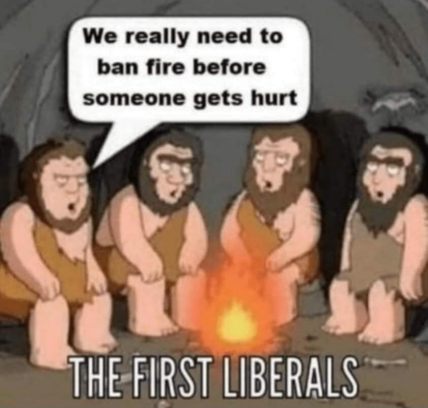 We really need to ban fire before someone gets hurt

THE FIRST LIBERALS