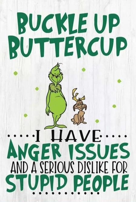 BUCKLE UP BUTTERCUP\nI HAVE ANGER ISSUES\nAND A SERIOUS DISLIKE FOR STUPID PEOPLE