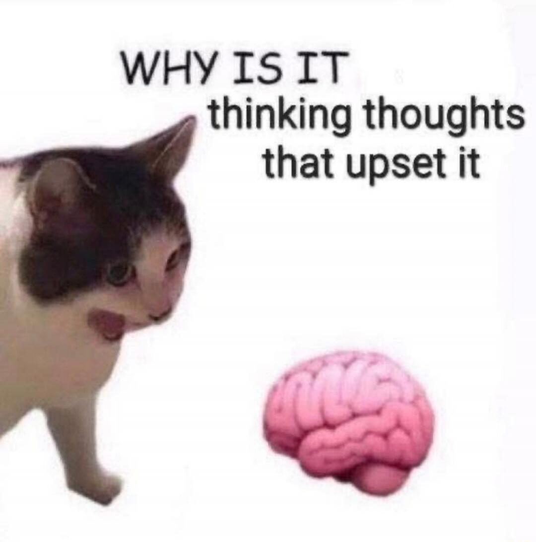WHY IS IT thinking thoughts that upset it