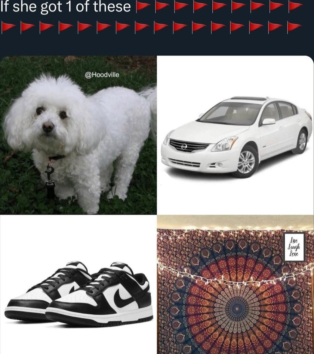 It she got 1 of these