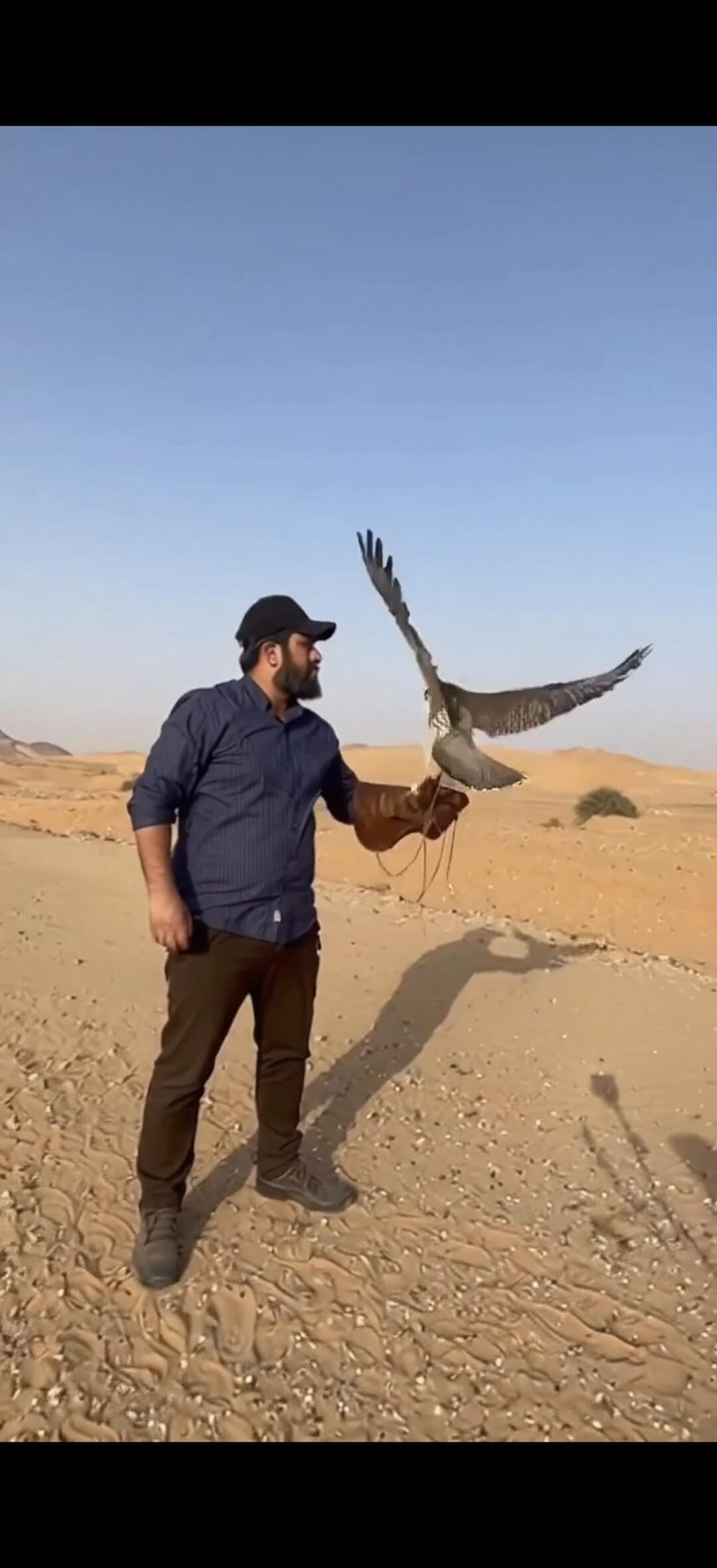 A man in a desert holds a falcon on his gloved hand.